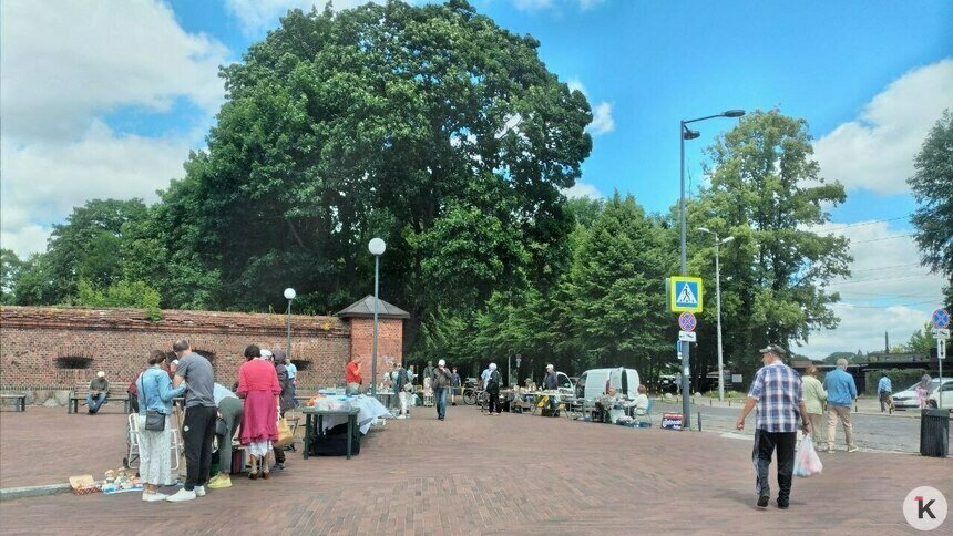 Дятлова рассказала, может ли блошиный рынок вернуться за башню Врангеля после открытия Каштанового парка - Новости Калининграда | Фото: архив «Клопс» Дятлова рассказала, может ли блошиный рынок вернуться за башню Врангеля после открытия Каштанового парка - Новости Калининграда | Фото: архив «Клопс»