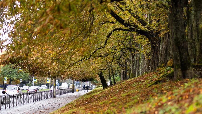 Власти назвали срок, когда средняя зарплата в Калининградской области достигнет 100 тысяч - Новости Калининграда | Фото: Александр Подгорчук / Архив «Клопс» Власти назвали срок, когда средняя зарплата в Калининградской области достигнет 100 тысяч - Новости Калининграда | Фото: Александр Подгорчук / Архив «Клопс»