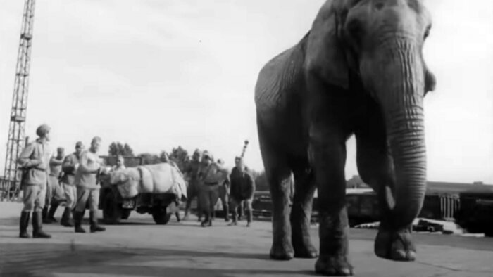 «На пути в Берлин». Кино, в котором калининградские хрущёвки играли немецкую столицу - Новости Калининграда | Кадр из фильма «На пути в Берлин»