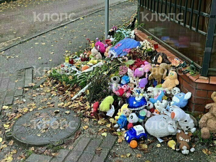 «Пусть ангелы охраняют твою дорогу»: на месте гибели 10-летнего мальчика в Калининграде появились десятки писем (фото) - Новости Калининграда | Фото: «Клопс» «Пусть ангелы охраняют твою дорогу»: на месте гибели 10-летнего мальчика в Калининграде появились десятки писем (фото) - Новости Калининграда | Фото: «Клопс»