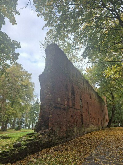 Туристы из Сочи в пятый раз побывали в Калининграде, на этот раз — с тремя детьми: что привлекает южан    - Новости Калининграда | Фото: туристов из Сочи