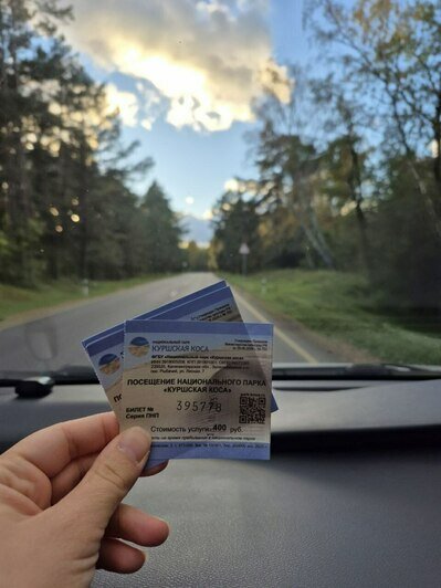 Туристы из Сочи в пятый раз побывали в Калининграде, на этот раз — с тремя детьми: что привлекает южан    - Новости Калининграда | Фото: Анна 