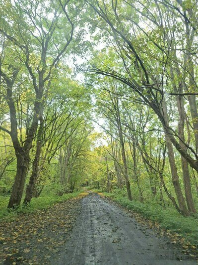 Туристы из Сочи в пятый раз побывали в Калининграде, на этот раз — с тремя детьми: что привлекает южан    - Новости Калининграда | Фото: Анна 