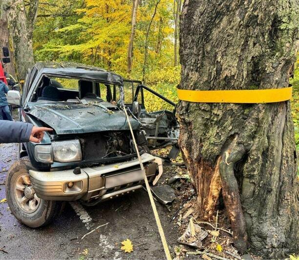 На трассе Калининград — Балтийск спасателям пришлось вырезать из машины водителя врезавшегося в дерево внедорожника (фото) - Новости Калининграда | Фото: пресс-служба МЧС по Калининградской области На трассе Калининград — Балтийск спасателям пришлось вырезать из машины водителя врезавшегося в дерево внедорожника (фото) - Новости Калининграда | Фото: пресс-служба МЧС по Калининградской области