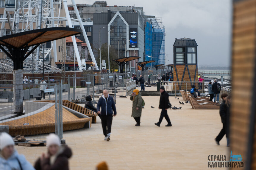 Зеленоградск. Повседневность в кадре | Фото: Александр Мелехов
