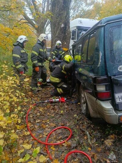 На трассе Калининград — Балтийск спасателям пришлось вырезать из машины водителя врезавшегося в дерево внедорожника (фото) - Новости Калининграда | Фото: пресс-служба МЧС по Калининградской области На трассе Калининград — Балтийск спасателям пришлось вырезать из машины водителя врезавшегося в дерево внедорожника (фото) - Новости Калининграда | Фото: пресс-служба МЧС по Калининградской области