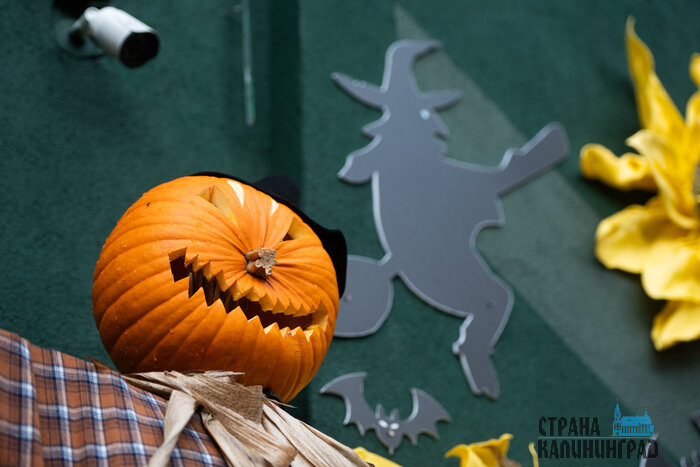 Зеленоградск. Повседневность в кадре | Фото: Александр Мелехов