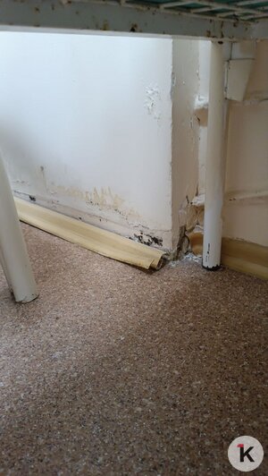 После жалоб калининградцев власти пообещали отремонтировать палаты детского инфекционного отделения ЦГКБ - Новости Калининграда | Фото: очевидец 