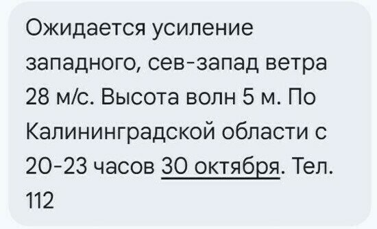 Синоптики изменили прогноз на шторм в Калининградской области: ждём ветер до 30 м/с и волны до 5 метров - Новости Калининграда | Иллюстрация: скриншот СМС-оповещения от МЧС Калининградской области Синоптики изменили прогноз на шторм в Калининградской области: ждём ветер до 30 м/с и волны до 5 метров - Новости Калининграда | Иллюстрация: скриншот СМС-оповещения от МЧС Калининградской области