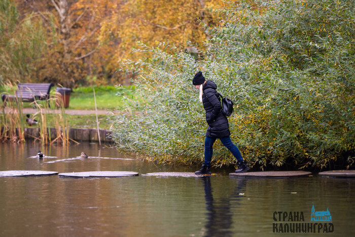 Зеленоградск. Повседневность в кадре | Фото: Александр Мелехов