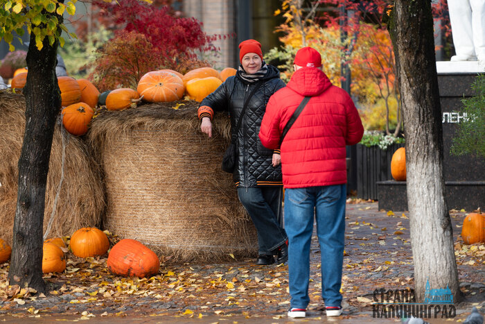 Зеленоградск. Повседневность в кадре | Фото: Александр Мелехов