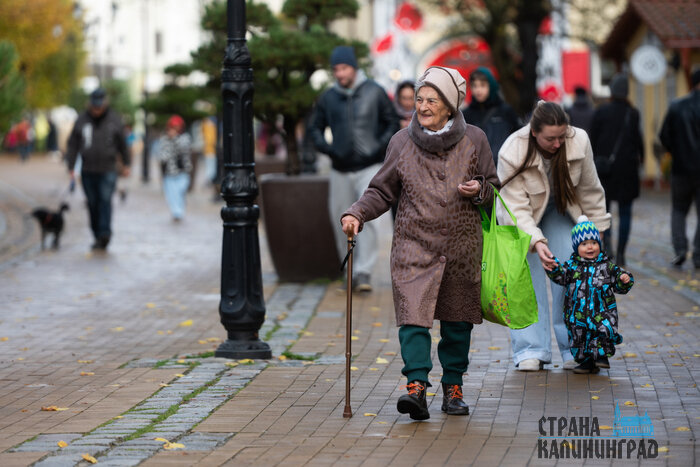 Зеленоградск. Повседневность в кадре | Фото: Александр Мелехов
