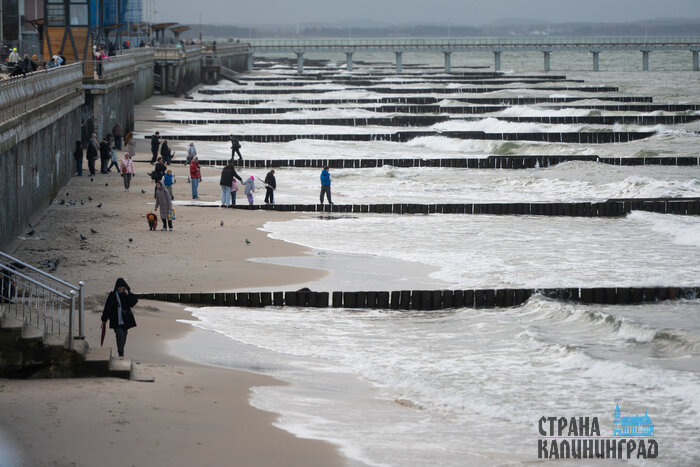 Зеленоградск. Повседневность в кадре | Фото: Александр Мелехов