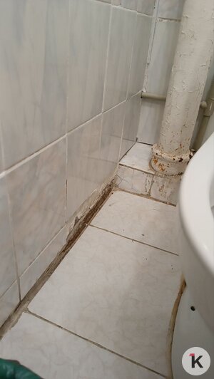 После жалоб калининградцев власти пообещали отремонтировать палаты детского инфекционного отделения ЦГКБ - Новости Калининграда | Фото: очевидец 