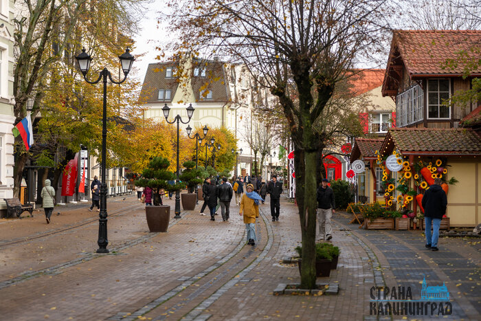 Зеленоградск. Повседневность в кадре | Фото: Александр Мелехов