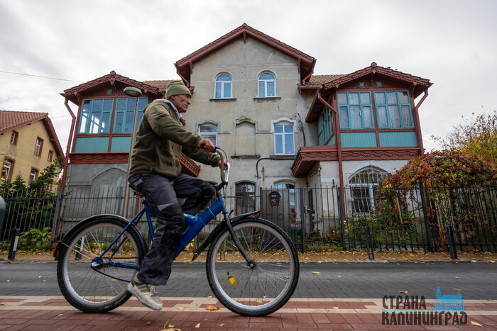 Зеленоградск. Повседневность в кадре | Фото: Александр Мелехов