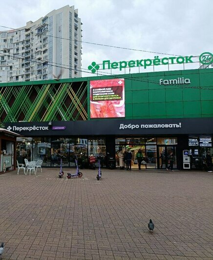 Что почём в Сочи: сравниваем цены на продукты с калининградскими (таблица)  - Новости Калининграда | Фото: «Клопс»