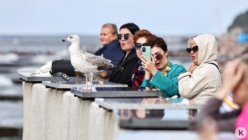 По числу отдыхающих в санаториях Калининградская область стала второй в СЗФО  - Новости Калининграда | Фото: Александр Подгорчук / Архив «Клопс» По числу отдыхающих в санаториях Калининградская область стала второй в СЗФО  - Новости Калининграда | Фото: Александр Подгорчук / Архив «Клопс»