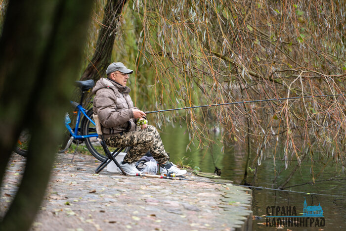 Зеленоградск. Повседневность в кадре | Фото: Александр Мелехов