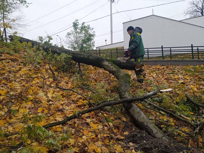 Режим «повышенной готовности» в Калининграде будет действовать до 18:00 — мэрия - Новости Калининграда | Фото: телеграм-канал главы администрации Калининграда Елены Дятловой Режим «повышенной готовности» в Калининграде будет действовать до 18:00 — мэрия - Новости Калининграда | Фото: телеграм-канал главы администрации Калининграда Елены Дятловой