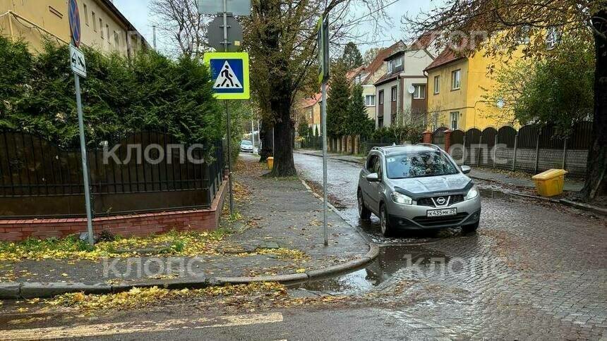 В Калининграде убрали стихийный мемориал на месте гибели школьника под колёсами грузовика (фото) - Новости Калининграда | Фото: Александр Подгорчук / «Клопс» В Калининграде убрали стихийный мемориал на месте гибели школьника под колёсами грузовика (фото) - Новости Калининграда | Фото: Александр Подгорчук / «Клопс»