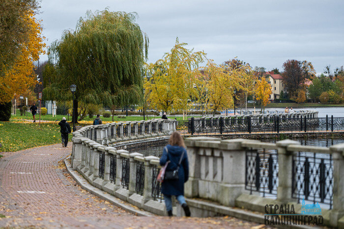 Осень в городе, где хочется гулять | Фото: Александр Мелехов