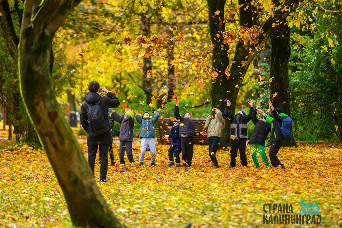 Осень в городе, где хочется гулять | Фото: Александр Мелехов