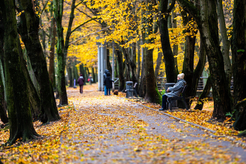 Осень в городе, где хочется гулять | Фото: Александр Мелехов