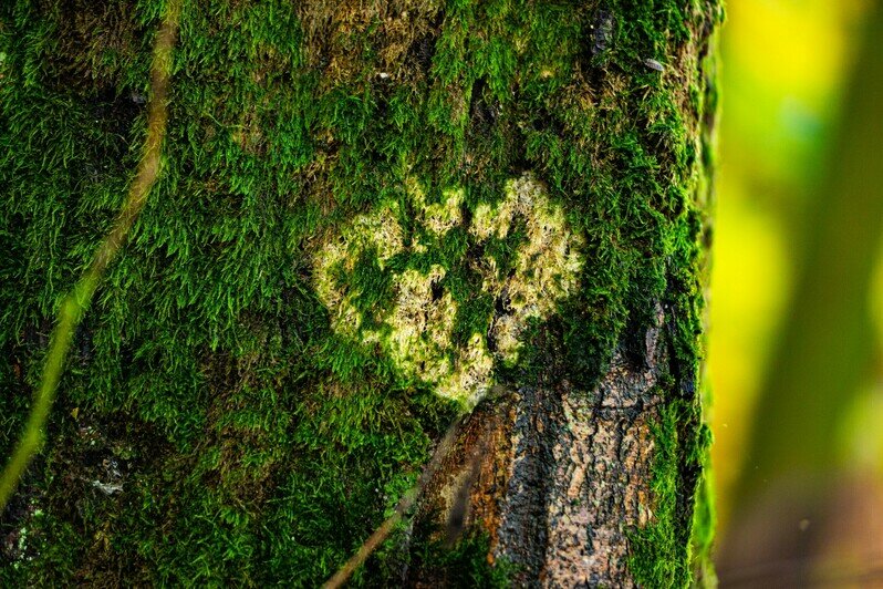 Осень в городе, где хочется гулять | Фото: Александр Мелехов