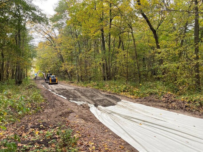 Директор «Куршской косы» рассказал, как в нацпарке строят велодорожку после визита оперативников  - Новости Калининграда | Фото: национальный парк «Куршская коса»  Директор «Куршской косы» рассказал, как в нацпарке строят велодорожку после визита оперативников  - Новости Калининграда | Фото: национальный парк «Куршская коса»