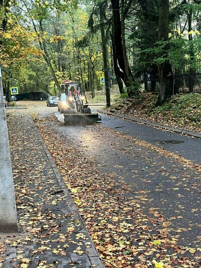 В Светлогорске поваленные ветром деревья погромили заборы и линии электропередач - Новости Калининграда | Фото: телеграм-канал Владимира Бондаренко В Светлогорске поваленные ветром деревья погромили заборы и линии электропередач - Новости Калининграда | Фото: телеграм-канал Владимира Бондаренко