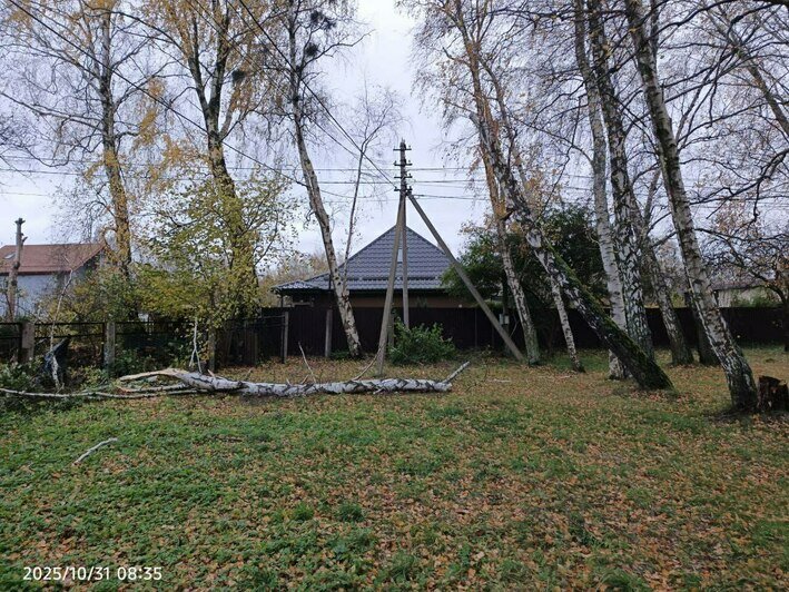 В Светлогорске поваленные ветром деревья погромили заборы и линии электропередач - Новости Калининграда | Фото: телеграм-канал Владимира Бондаренко В Светлогорске поваленные ветром деревья погромили заборы и линии электропередач - Новости Калининграда | Фото: телеграм-канал Владимира Бондаренко