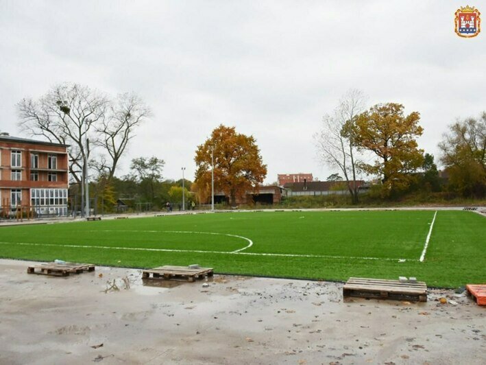 В Калининградской области более 67 тысяч жителей получат новые детские площадки, стадионы и школы - Новости Калининграда | Фото: минсельхоз В Калининградской области более 67 тысяч жителей получат новые детские площадки, стадионы и школы - Новости Калининграда | Фото: минсельхоз