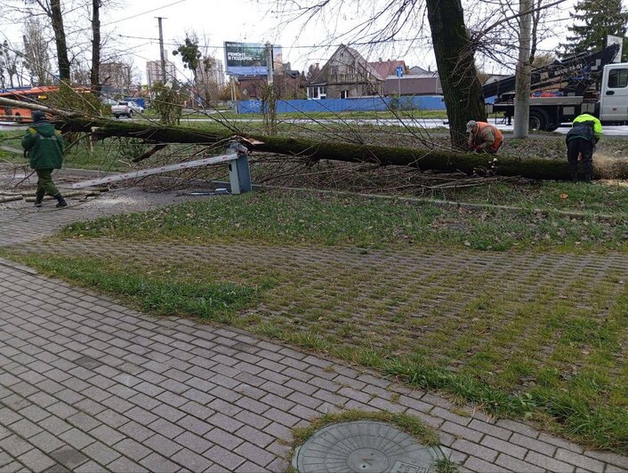 Режим «повышенной готовности» в Калининграде будет действовать до 18:00 — мэрия - Новости Калининграда | Фото: телеграм-канал главы администрации Калининграда Елены Дятловой Режим «повышенной готовности» в Калининграде будет действовать до 18:00 — мэрия - Новости Калининграда | Фото: телеграм-канал главы администрации Калининграда Елены Дятловой