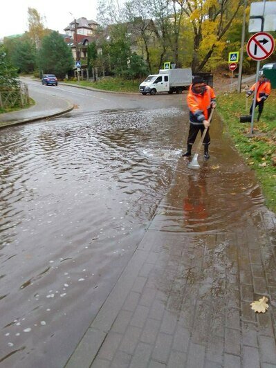 В Светлогорске поваленные ветром деревья погромили заборы и линии электропередач - Новости Калининграда | Фото: телеграм-канал Владимира Бондаренко В Светлогорске поваленные ветром деревья погромили заборы и линии электропередач - Новости Калининграда | Фото: телеграм-канал Владимира Бондаренко