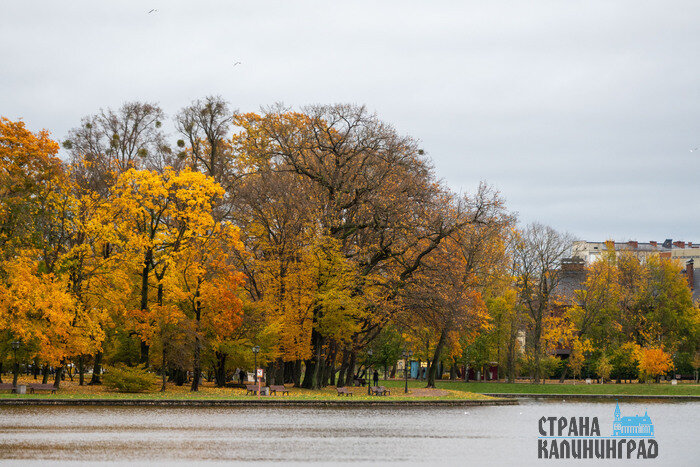 Осень в городе, где хочется гулять | Фото: Александр Мелехов
