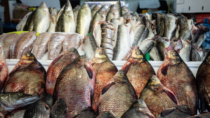 В Госдуме предложили по четвергам продавать рыбу за полцены - Новости Калининграда | Фото: Александр Подгорчук / Архив «Клопс» В Госдуме предложили по четвергам продавать рыбу за полцены - Новости Калининграда | Фото: Александр Подгорчук / Архив «Клопс»