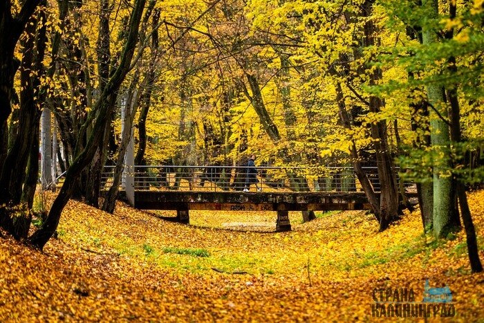 Осень в городе, где хочется гулять (фото) | Фото: Александр Мелехов