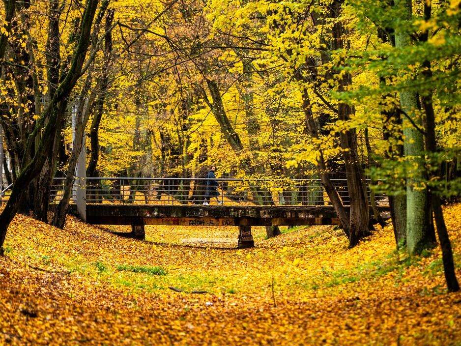 Осень в городе, где хочется гулять (фото)