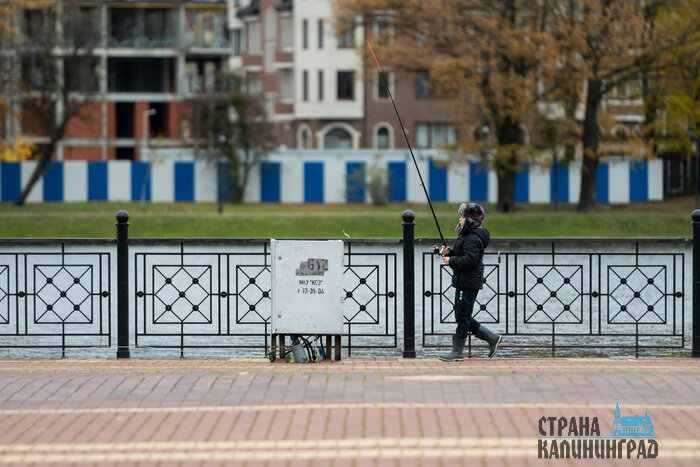 Осень в городе, где хочется гулять | Фото: Александр Мелехов
