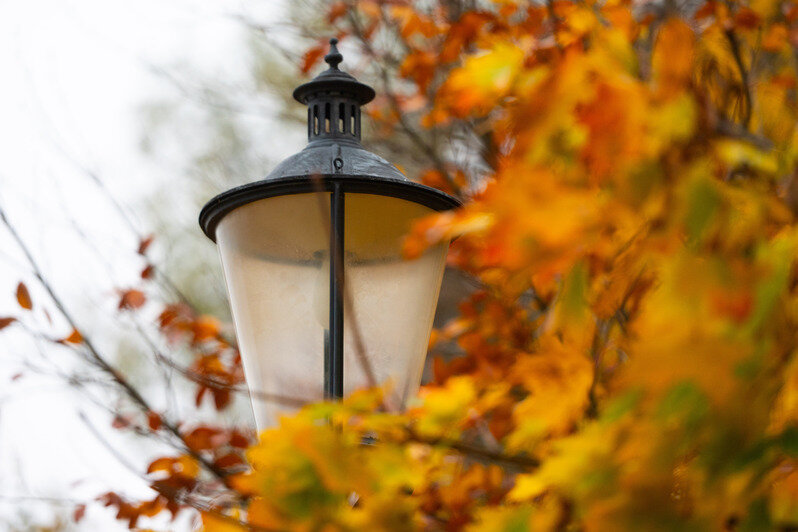 Осень в городе, где хочется гулять | Фото: Александр Мелехов