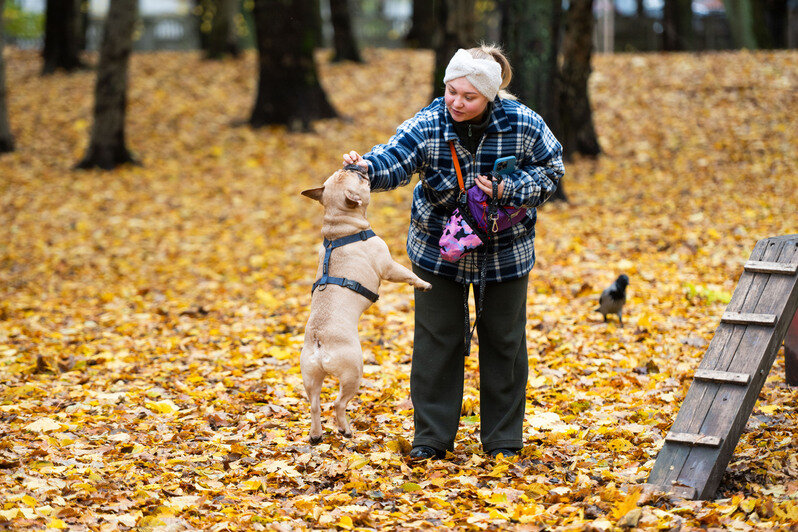 Осень в городе, где хочется гулять | Фото: Александр Мелехов