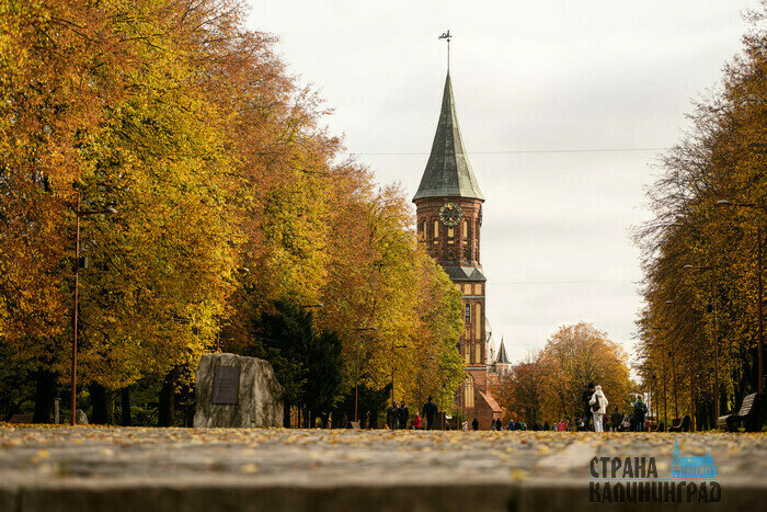 Осень в городе, где хочется гулять | Фото: Александр Мелехов
