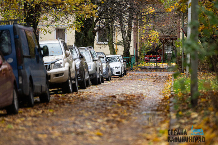 Осень в городе, где хочется гулять | Фото: Александр Мелехов