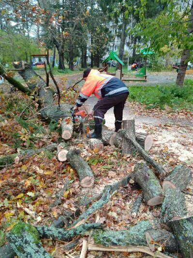 В Светлогорске поваленные ветром деревья погромили заборы и линии электропередач - Новости Калининграда | Фото: телеграм-канал Владимира Бондаренко В Светлогорске поваленные ветром деревья погромили заборы и линии электропередач - Новости Калининграда | Фото: телеграм-канал Владимира Бондаренко