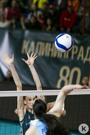 «Падать тоже хорошо»: как «Локомотив» уступил Казани в споре за лидерство в Суперлиге (фоторепортаж) - Новости Калининграда | Фото: Александр Подгорчук / «Клопс»