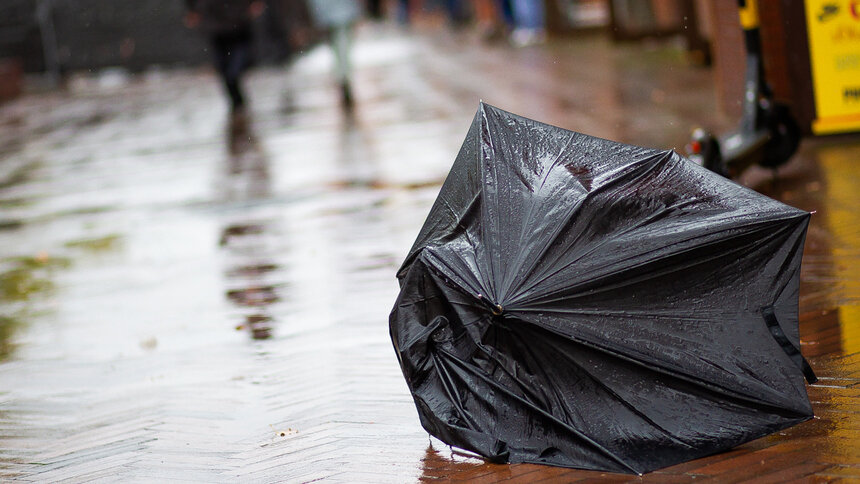 В Калининграде День народного единства погода отметит зарядами дождя - Новости Калининграда | Фото: Александр Подгорчук / Архив «Клопс»