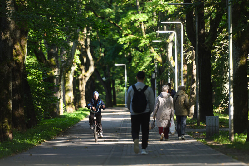 Часть Южного парка благоустроили, другая часть ждёт своего часа | Фото: Александр Мелехов