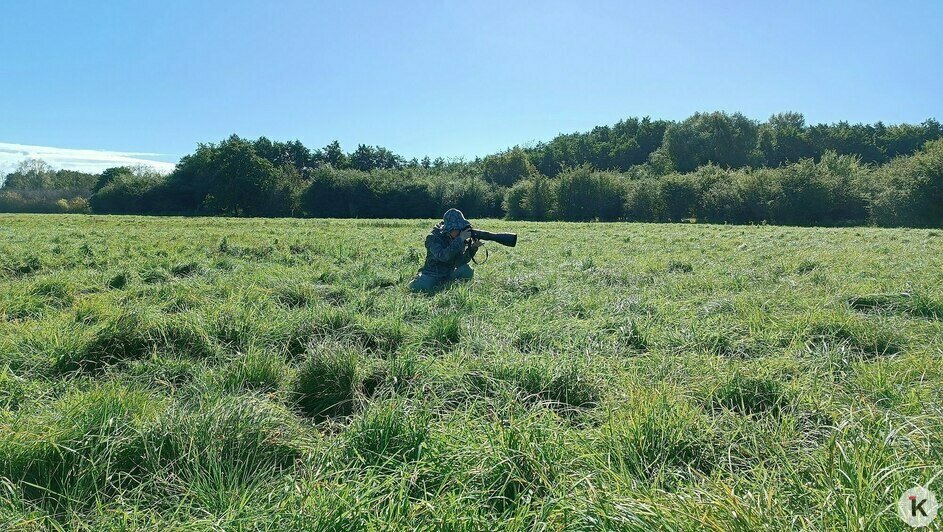 Потрогать зимородка: калининградский фотограф рассказала, как «охотится» за птицами (фото)   - Новости Калининграда | Фото: личный архив героини