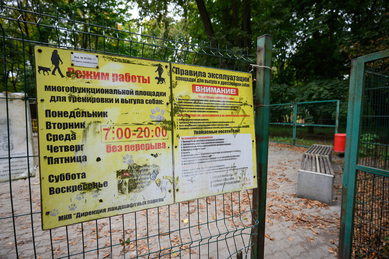 Парки Калининграда: с историей, но сложными перспективами